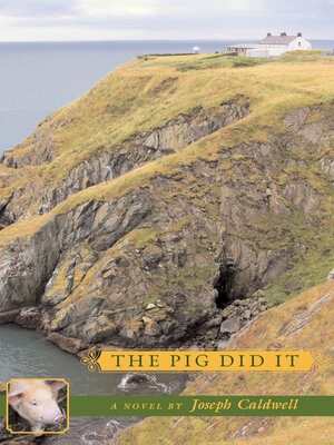 cover image of The Pig Did It